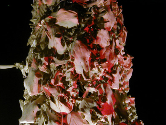 P9020063